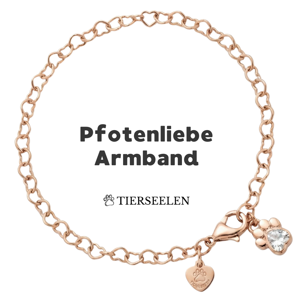Paw Love Bracelet
