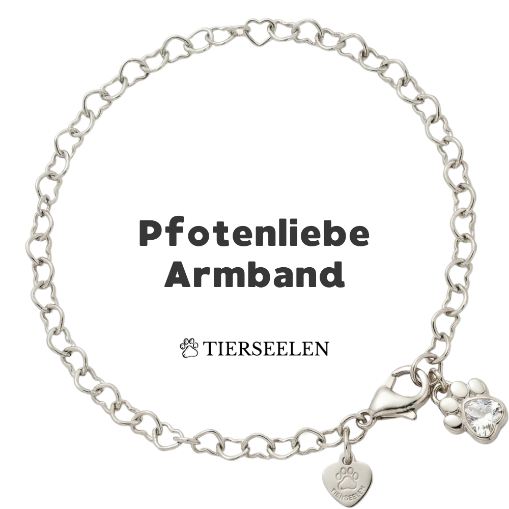 Paw Love Bracelet