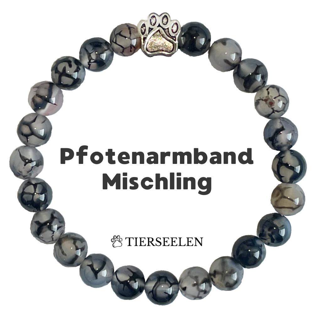 Pfotenarmband Mischling Tierseelen pfotenarmband-mischling-tierseelen