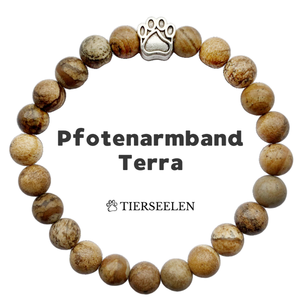 Pfotenarmband - Terra